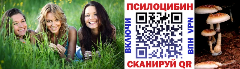 Галлюциногенные грибы мухоморы  Купить закладки  Михайловск 