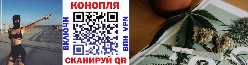 Купить где  Михайловск  Марихуана ГИДРОПОН 